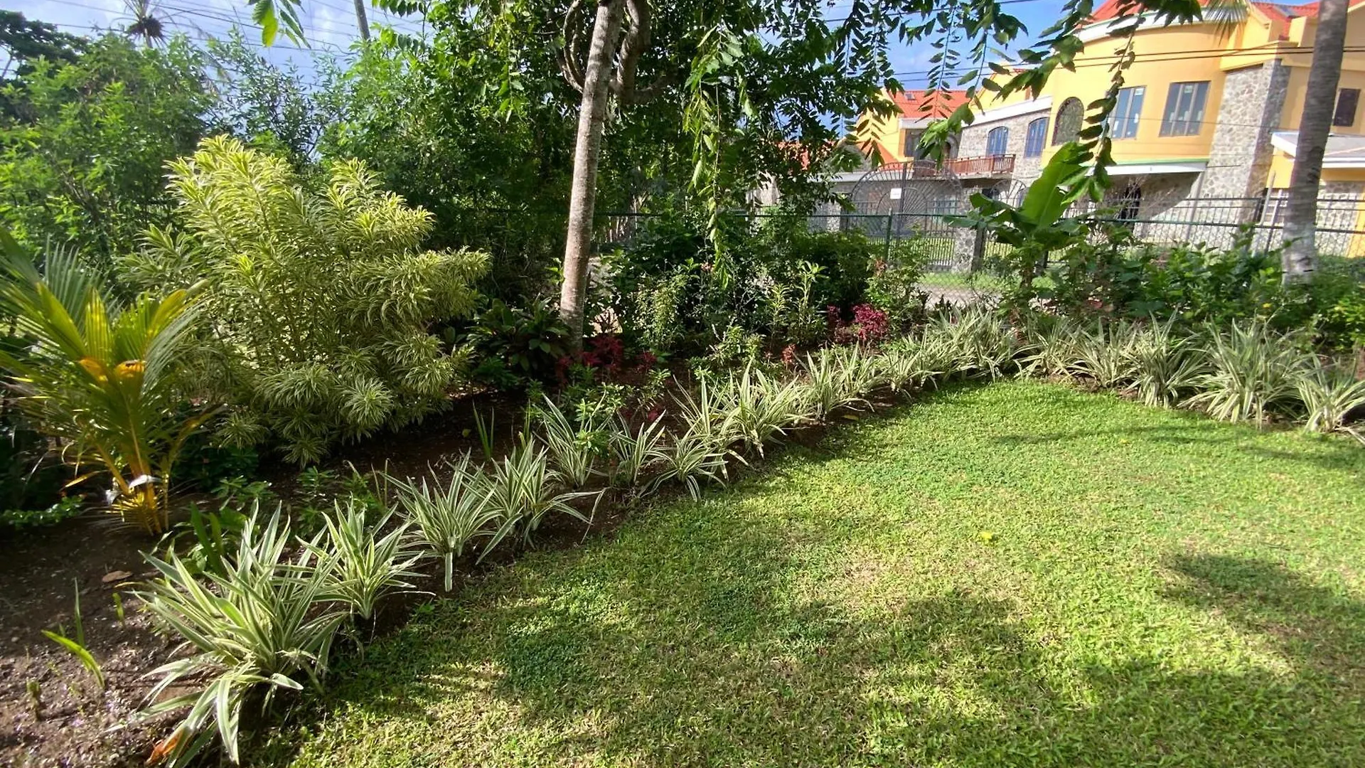 קסטריס Marvey'S Place